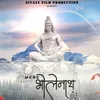 About Mere Bholenath Song